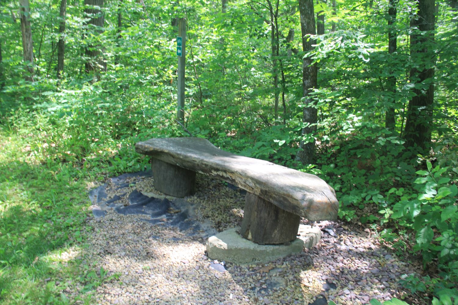 Bluemond SP Flint Rock Trail 